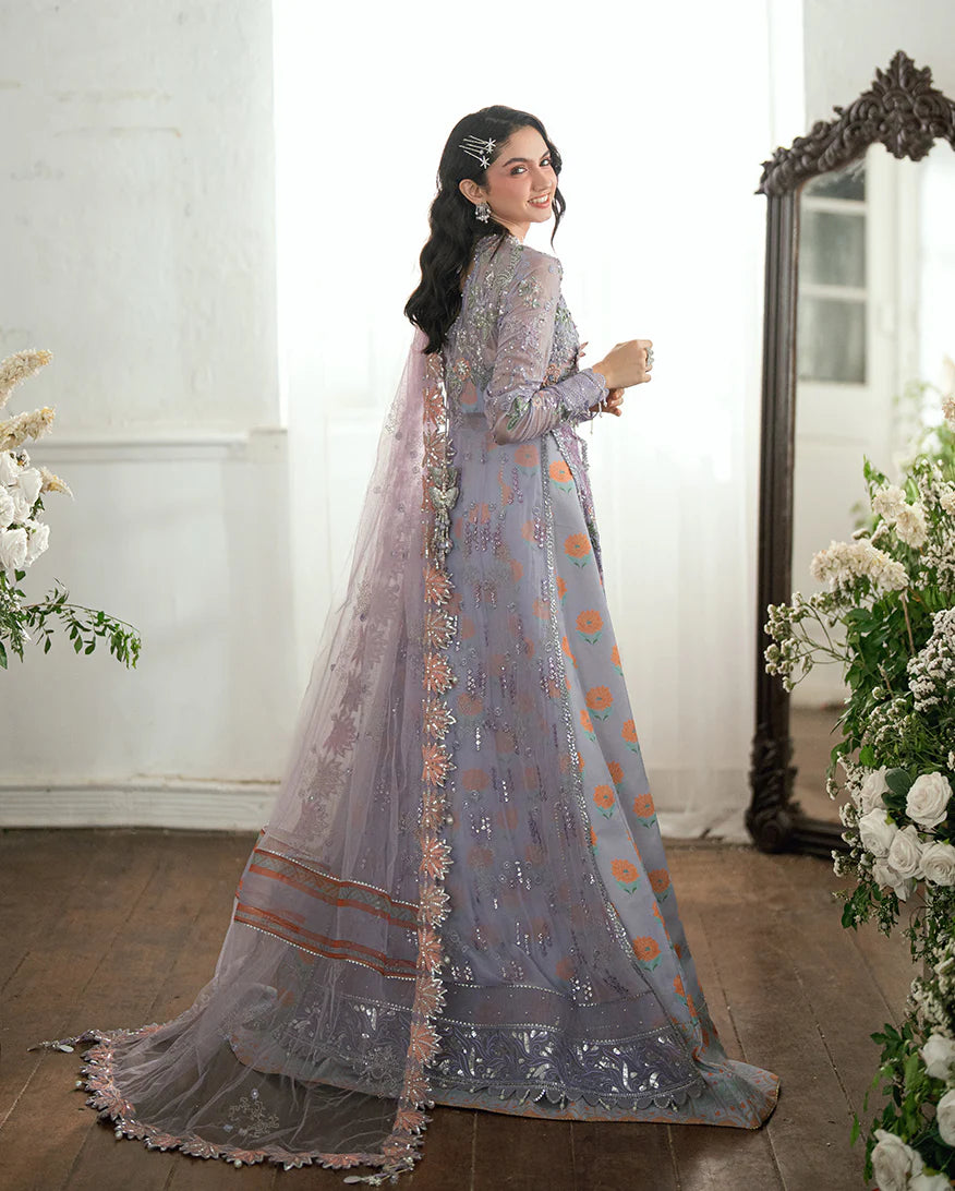 MUSHQ | FESTIVE CHIFFON | Rangeela Raag