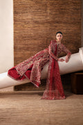 Emaan Adeel | Starlit Jewels Chiffon | Ruby Veil