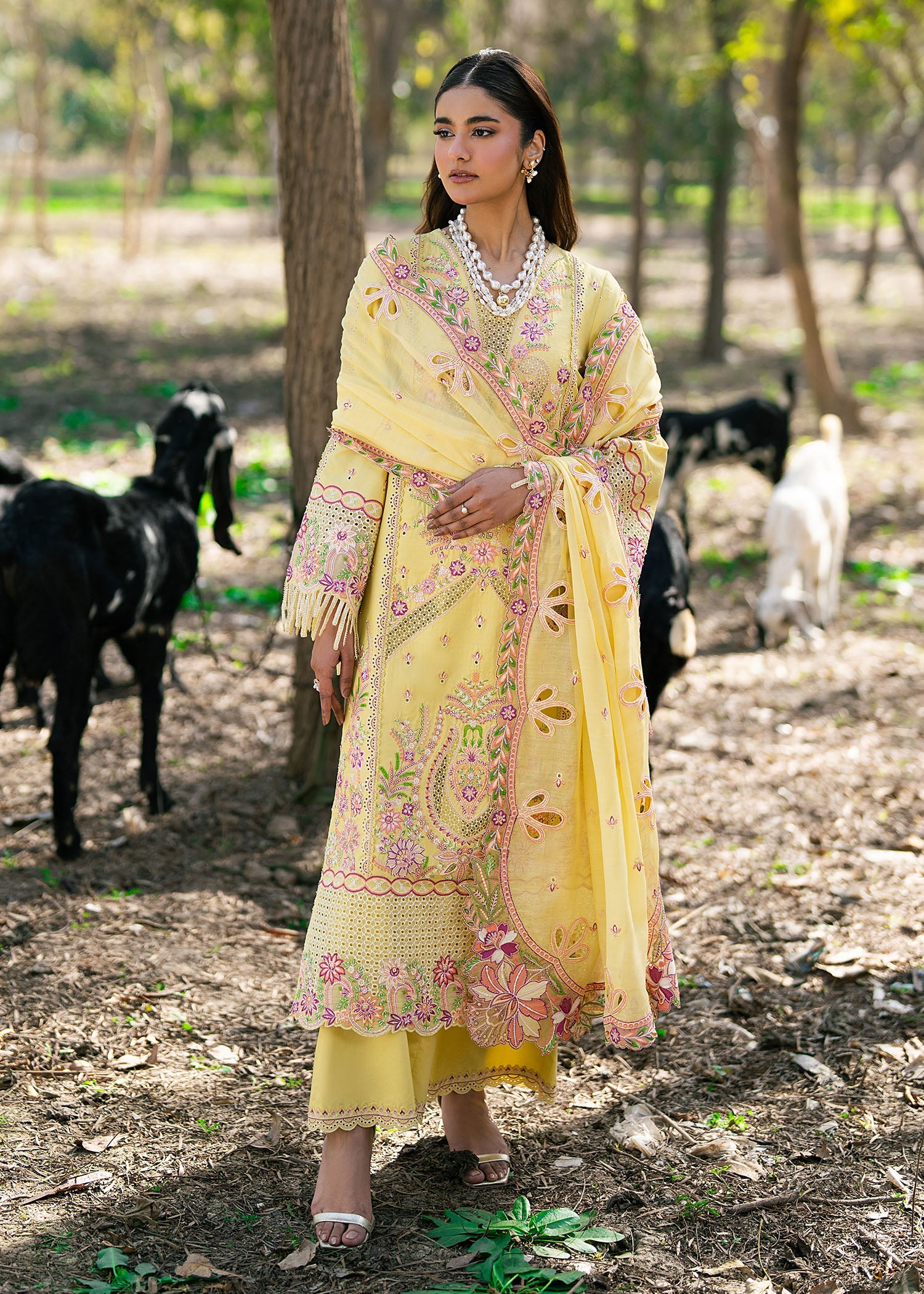 Zarizaa | Aura by Flora | Honey