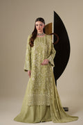 Emaan Adeel | Nouvelle Luxury Chiffon | NOLA