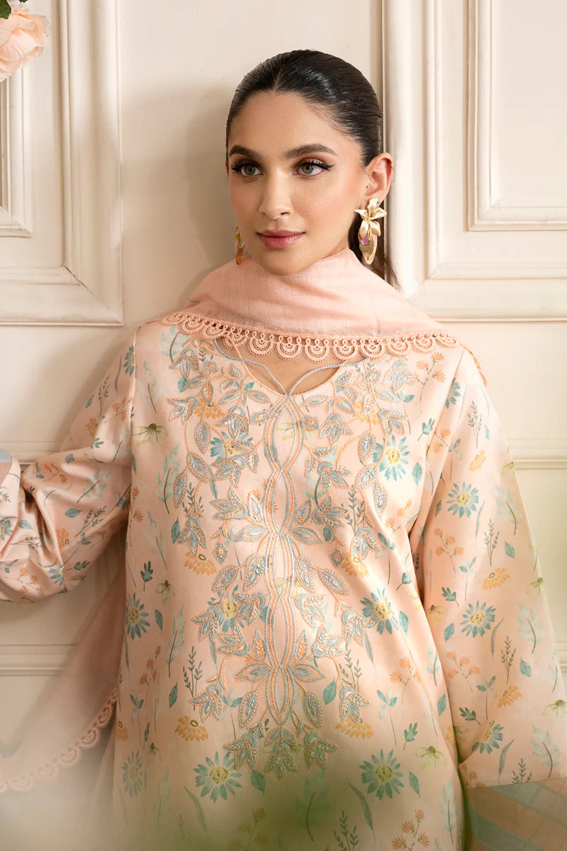 Rang Rasiya |  Lifestyle Embroidered Edit '24 | Blush