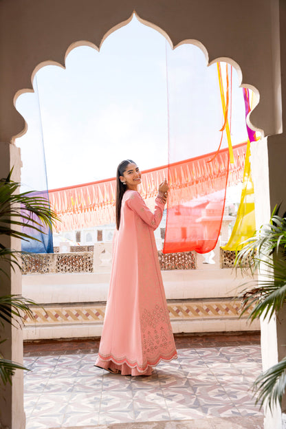 Florent | Basant ChikenKari | FBC - 3B