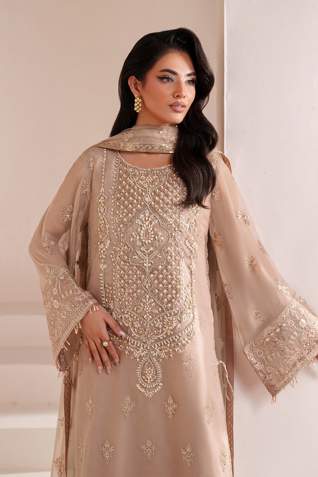 Alizeh | Aymal Embroidered Chiffon | 01