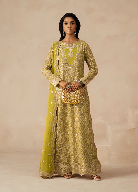MARYUM-N-MARIA | Embroidered Chiffon | SYRA