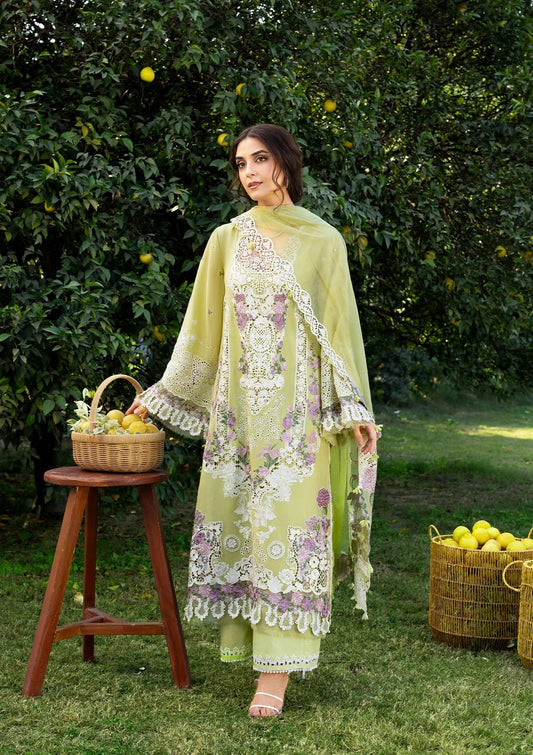 Elaf | Luxary Lawn | Pistachia