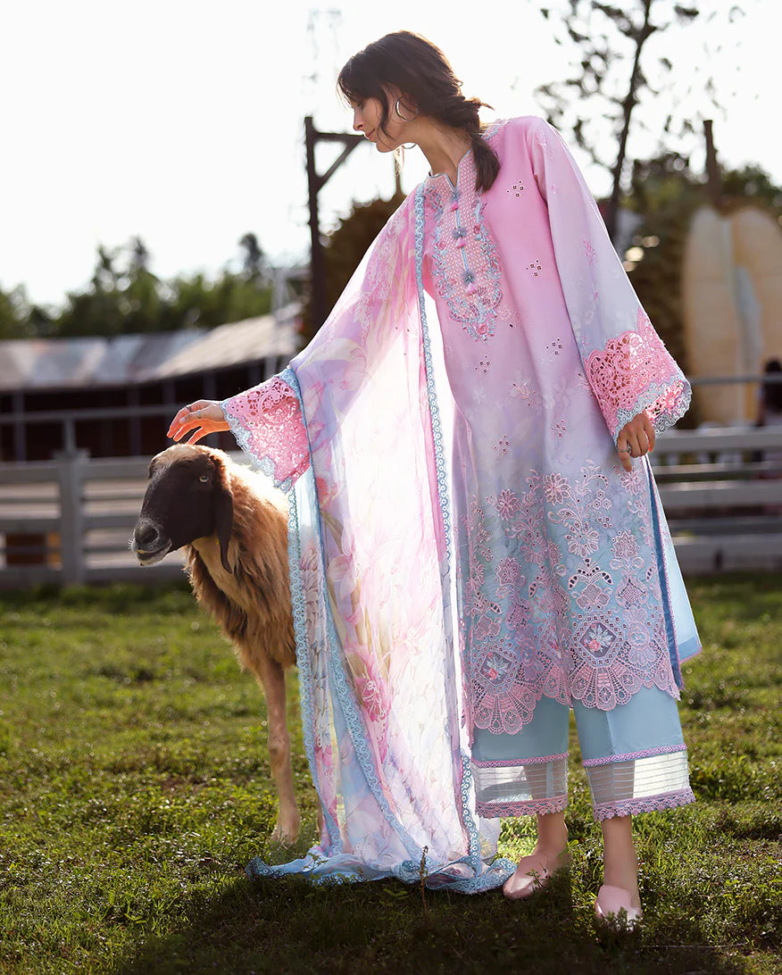 Mushq | Solace - Ombre Chikankari | Faint Blossom
