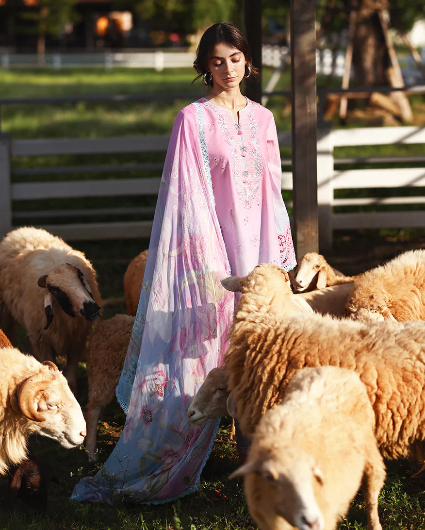 Mushq | Solace - Ombre Chikankari | Faint Blossom