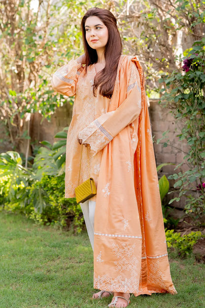 3 Piece - Embroidered Chikankari Lawn - W127