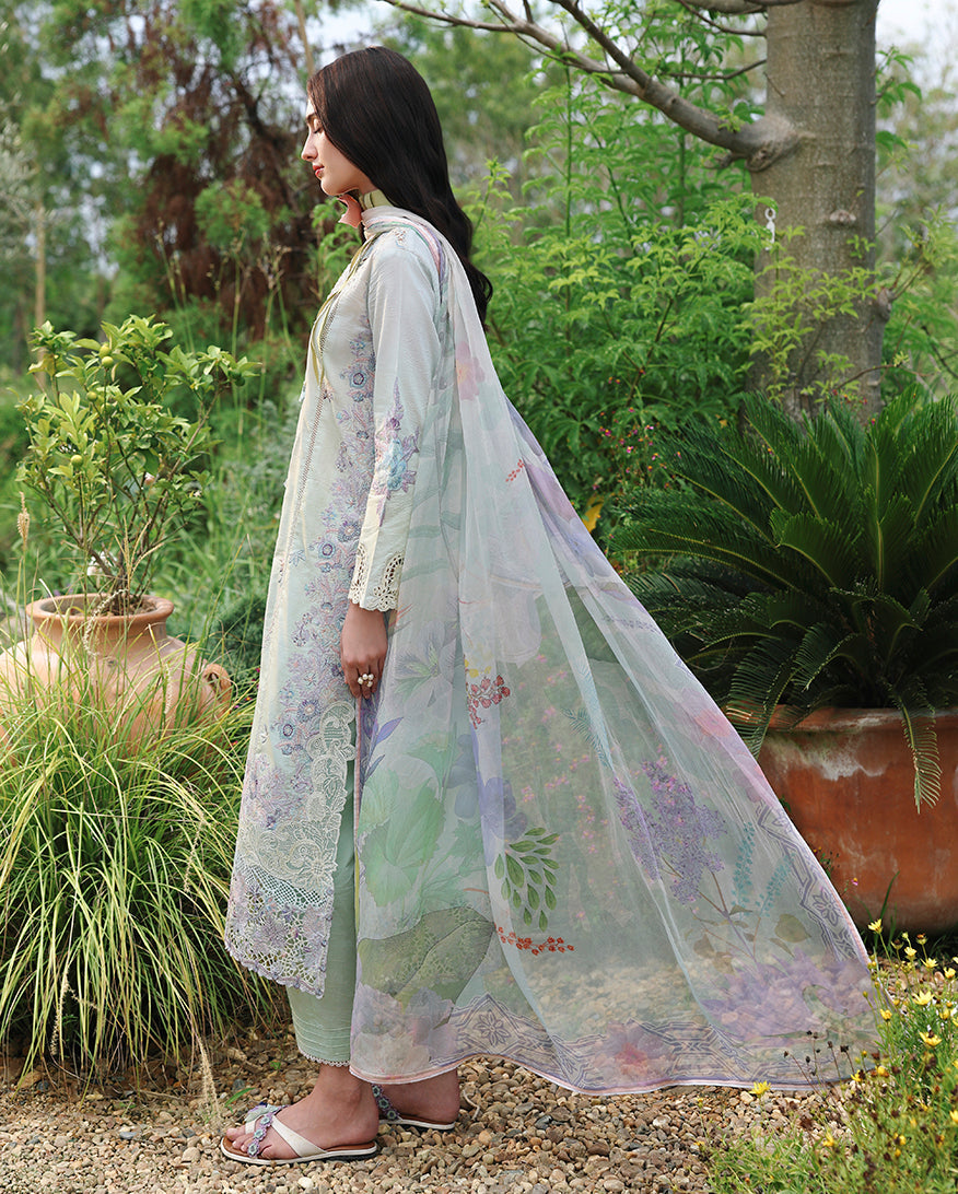 Mushq | Hemline - THe Secret Garden VOL 3 | Garden Royale
