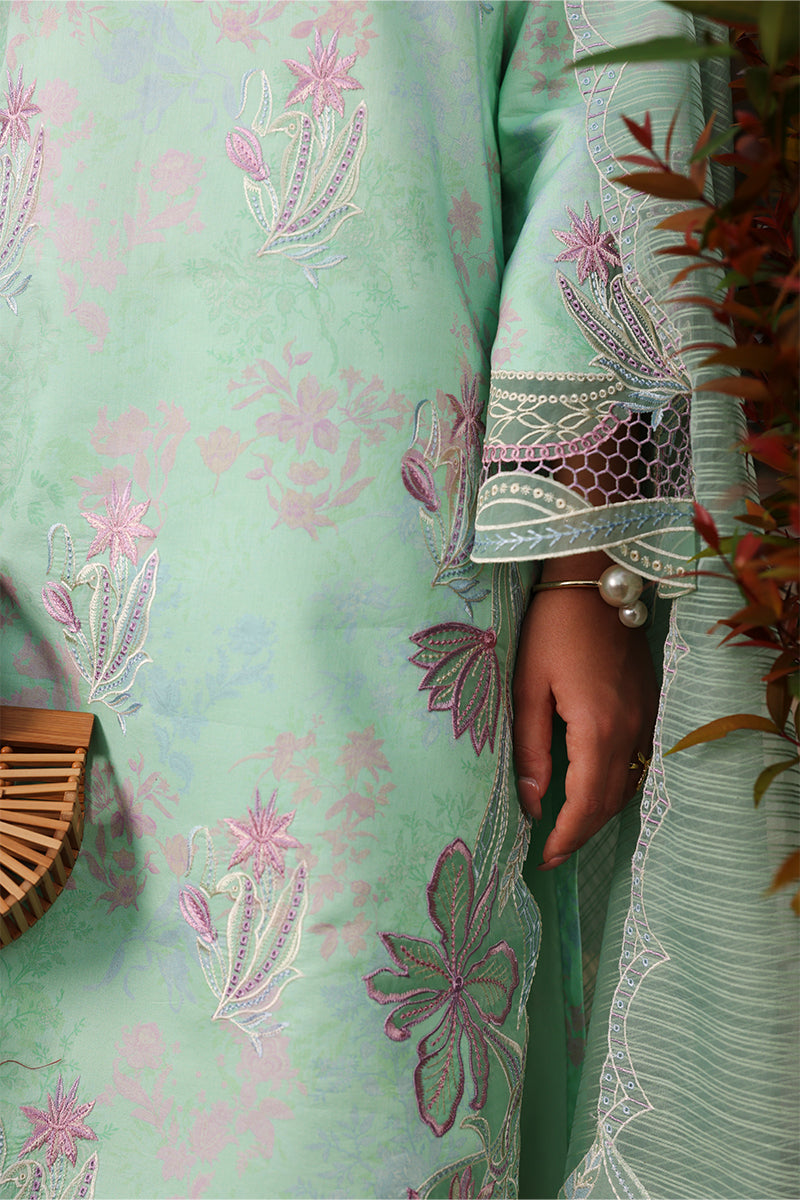 RANGRASIYA | Florence Summer Edit '26 | Haniya