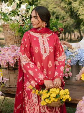 Parishay | 3 PC Lawn | IVY-04
