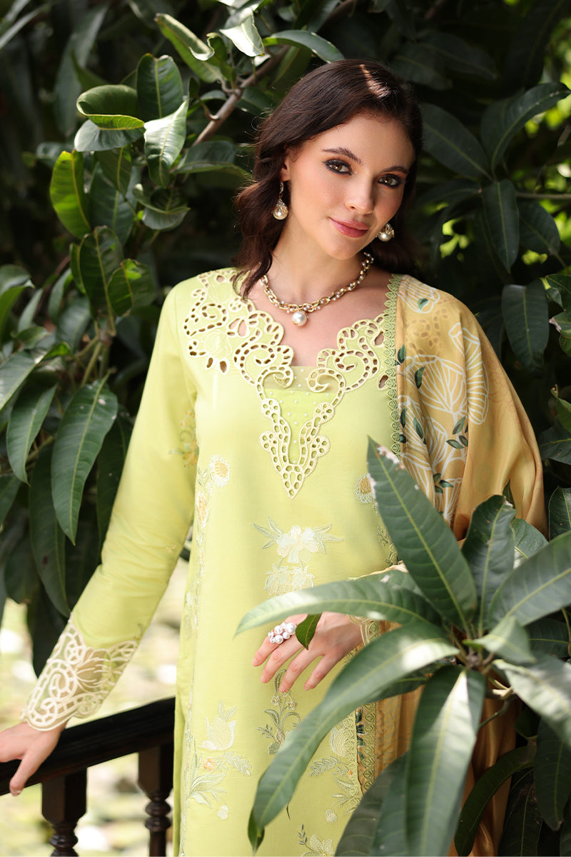 Rangrasiya | Meharma Lawn | Isabella