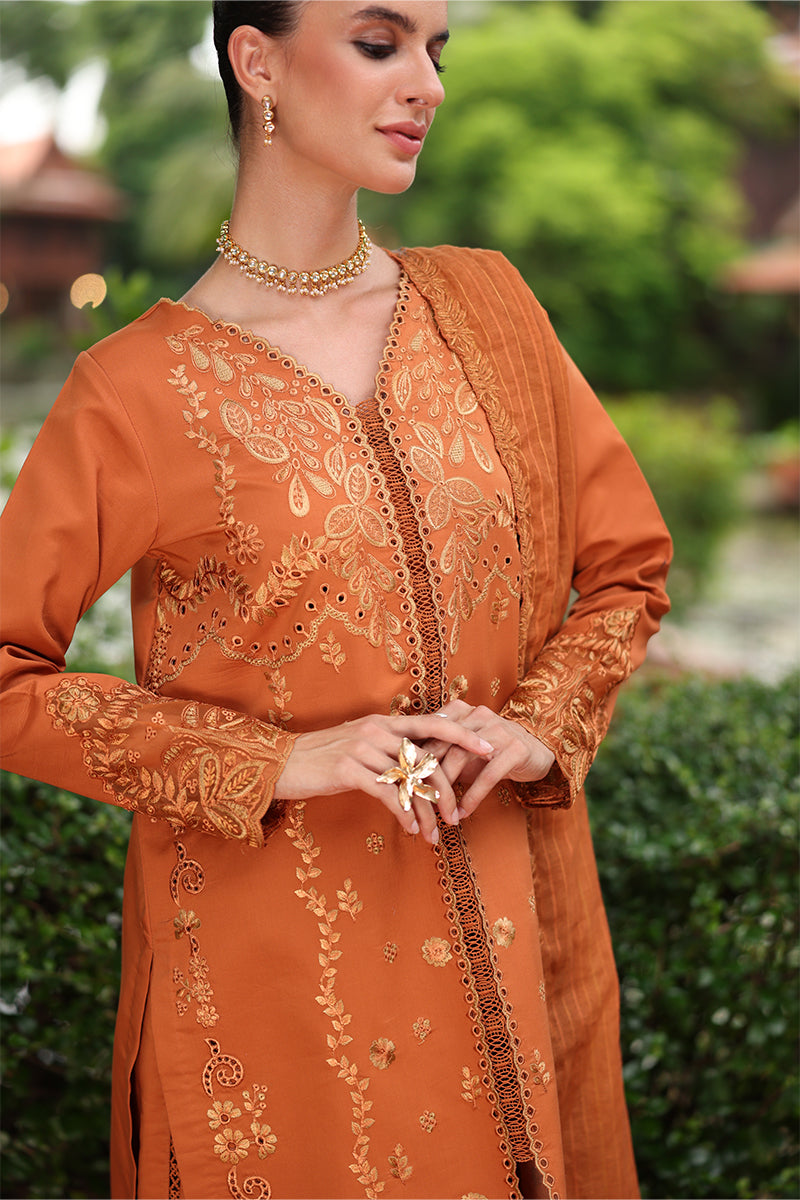 Rangrasiya | Meharma Lawn | Liana