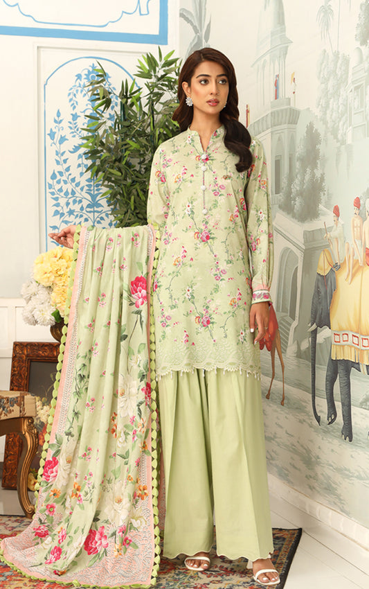 MAUSMMERY | LAWN 25 | D07