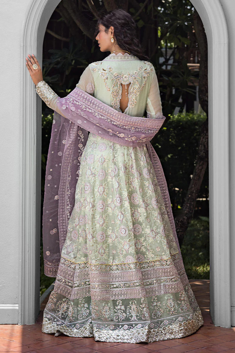 Mushq | Embroidered Festive | Aara