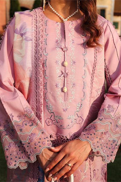 RANGRASIYA | Florence Summer Edit '26 | Manha