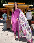 Mushq | Odyssey Lawn '26 | Mariel