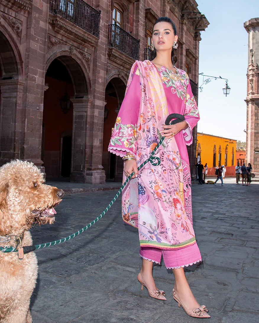 Mushq | Odyssey Lawn '26 | Meredith