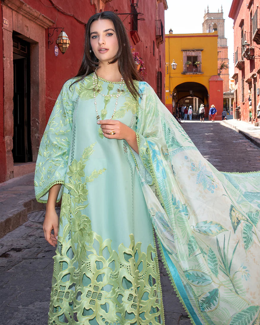 Mushq | Odyssey Lawn '26 | Paloma