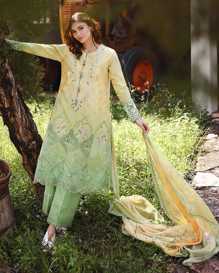 Mushq | Solace - Ombre Chikankari | Quiet Bloom