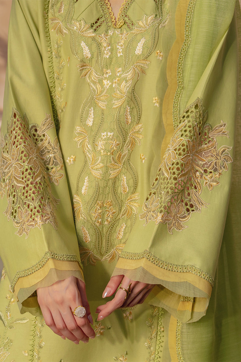Rang Rasiya | Luxury Eid Lawn | Nadine