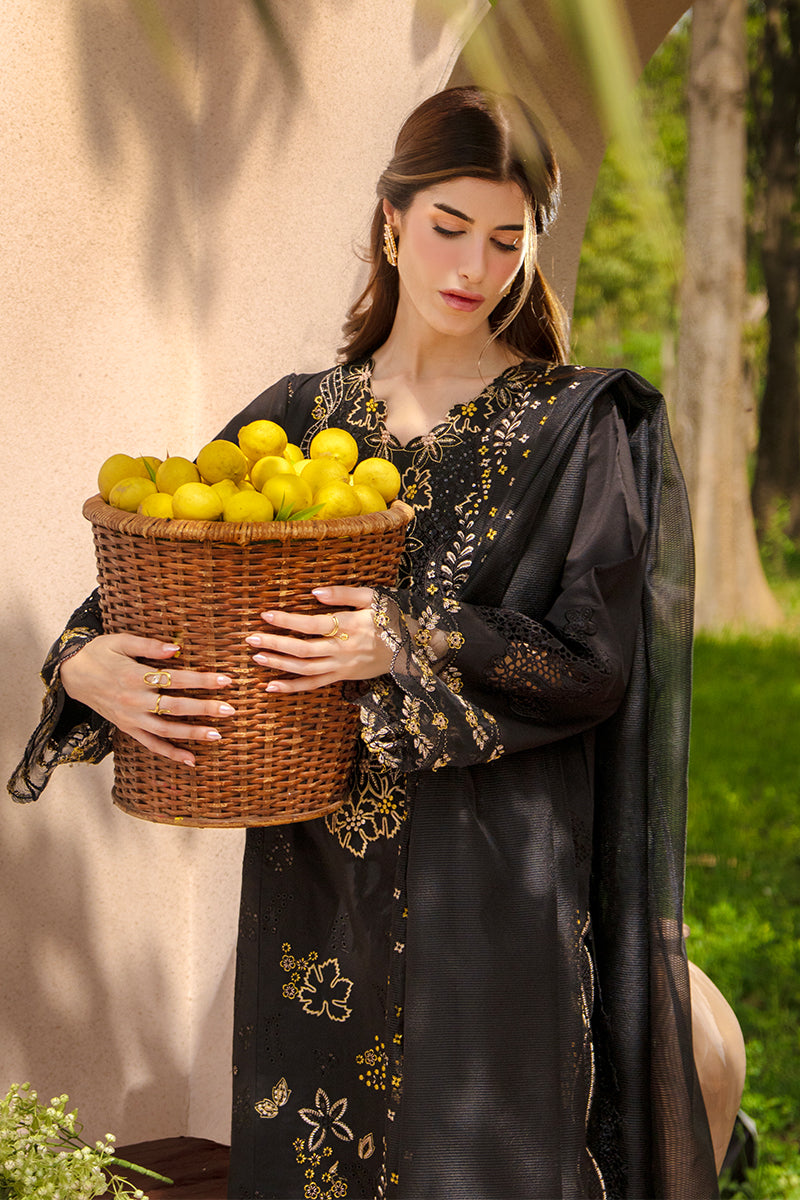 Rang Rasiya | Luxury Eid Lawn | Layl