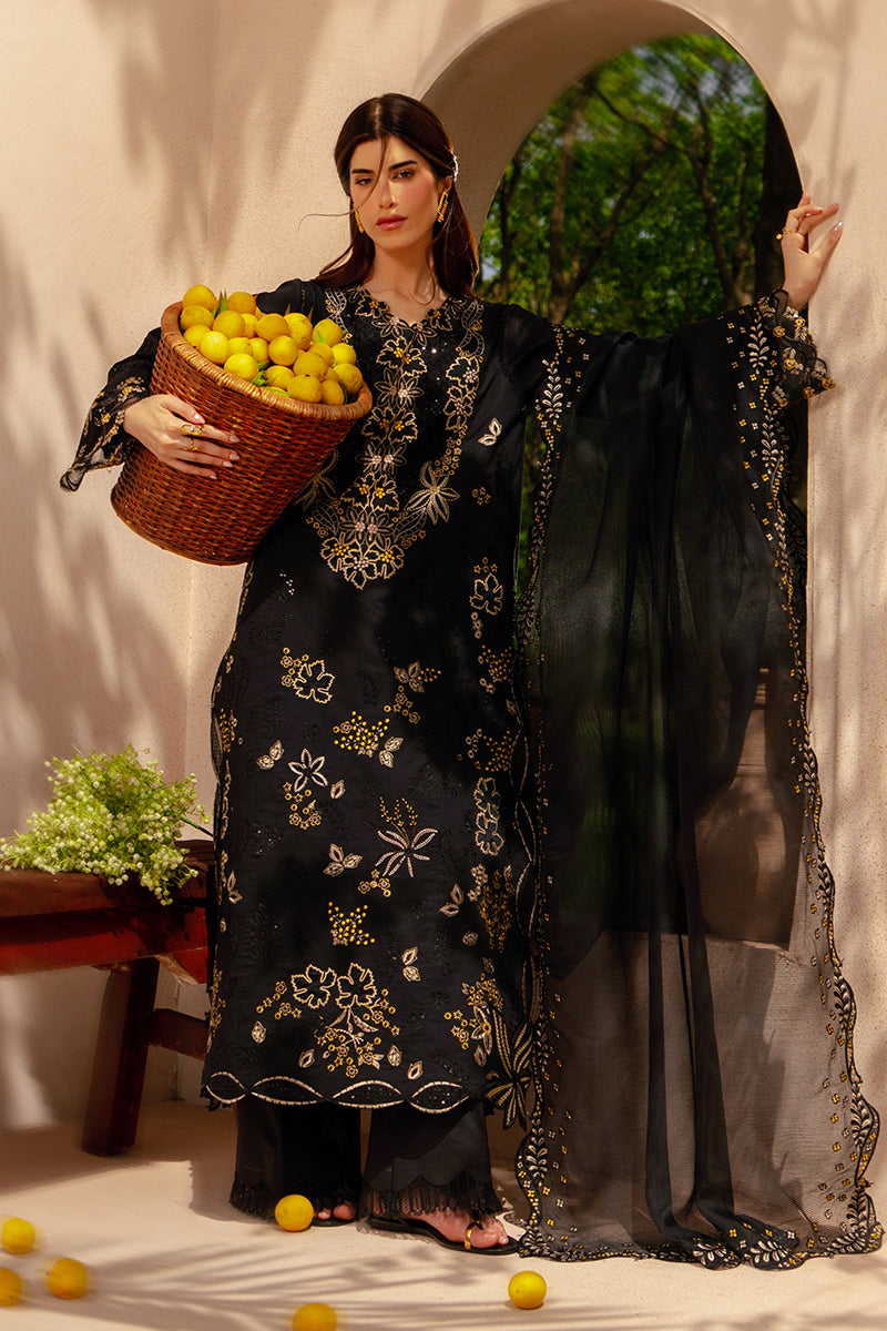 Rang Rasiya | Luxury Eid Lawn | Layl