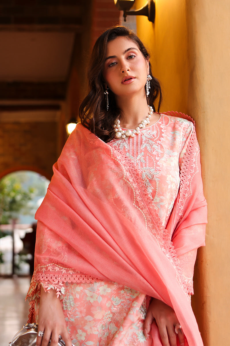 RANGRASIYA | Florence Summer Edit '26 | Safina