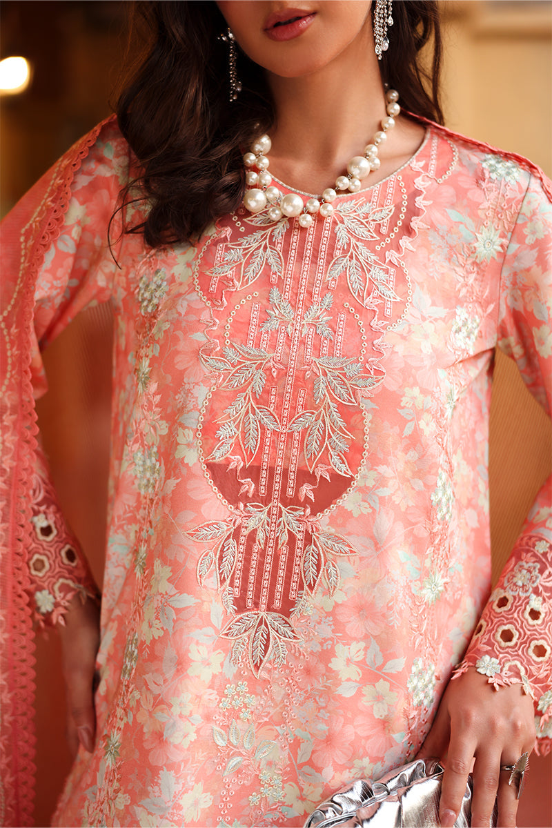 RANGRASIYA | Florence Summer Edit '26 | Safina
