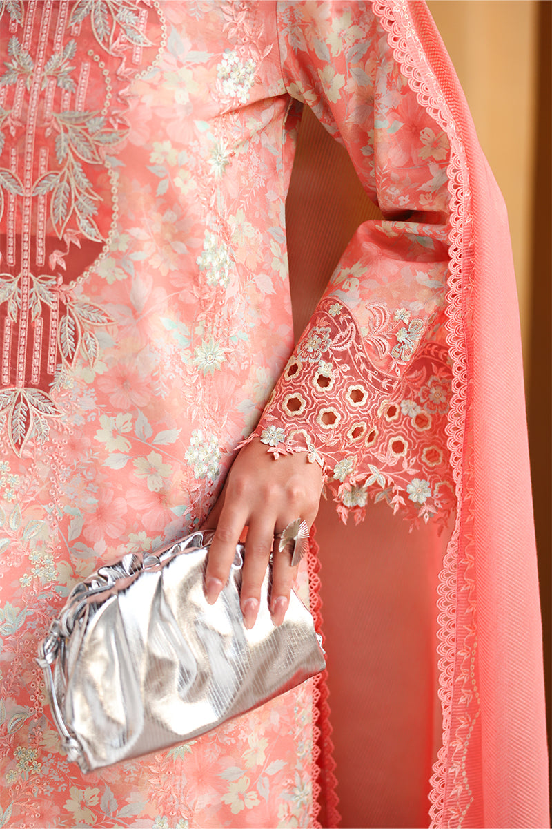 RANGRASIYA | Florence Summer Edit '26 | Safina