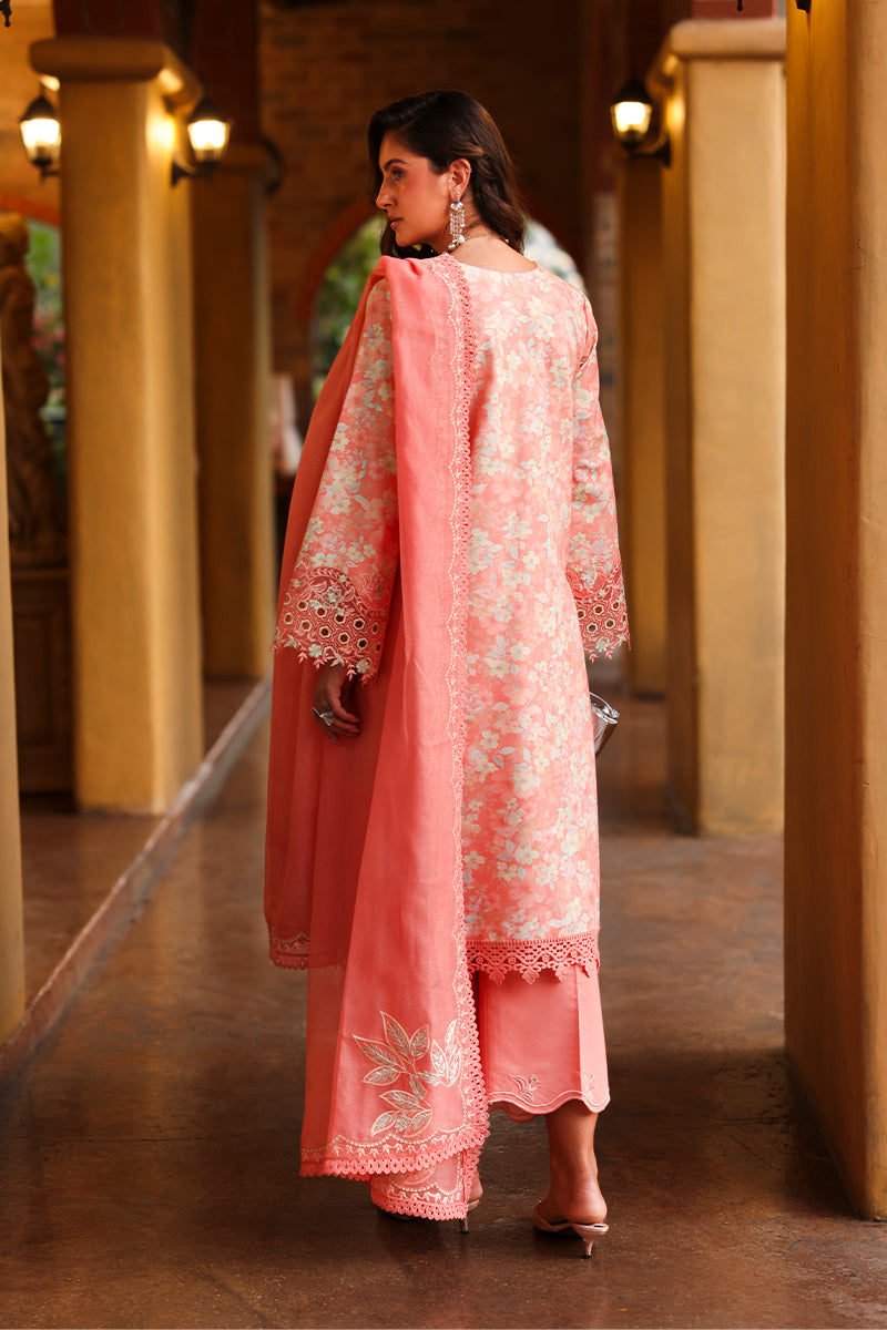 RANGRASIYA | Florence Summer Edit '26 | Safina