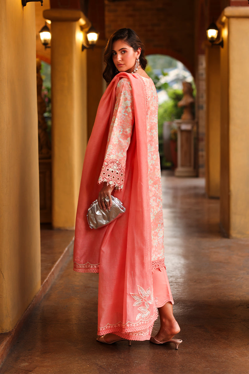 RANGRASIYA | Florence Summer Edit '26 | Safina