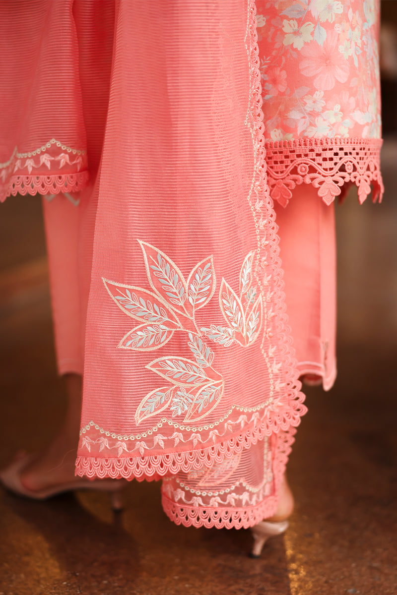 RANGRASIYA | Florence Summer Edit '26 | Safina