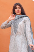 3 Piece - Embroidered Lawn - 8160