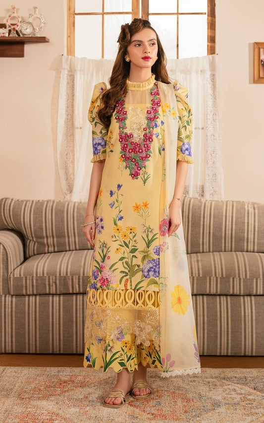 Asifa and Nabeel | Meraki Lawn 25 | D10