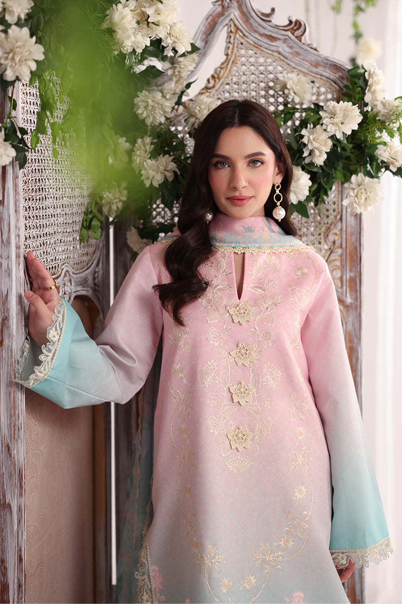 Rang Rasiya | Nova Summer Embroidered Edit '26 | Serene