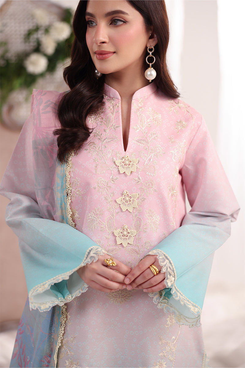 Rang Rasiya | Nova Summer Embroidered Edit '26 | Serene