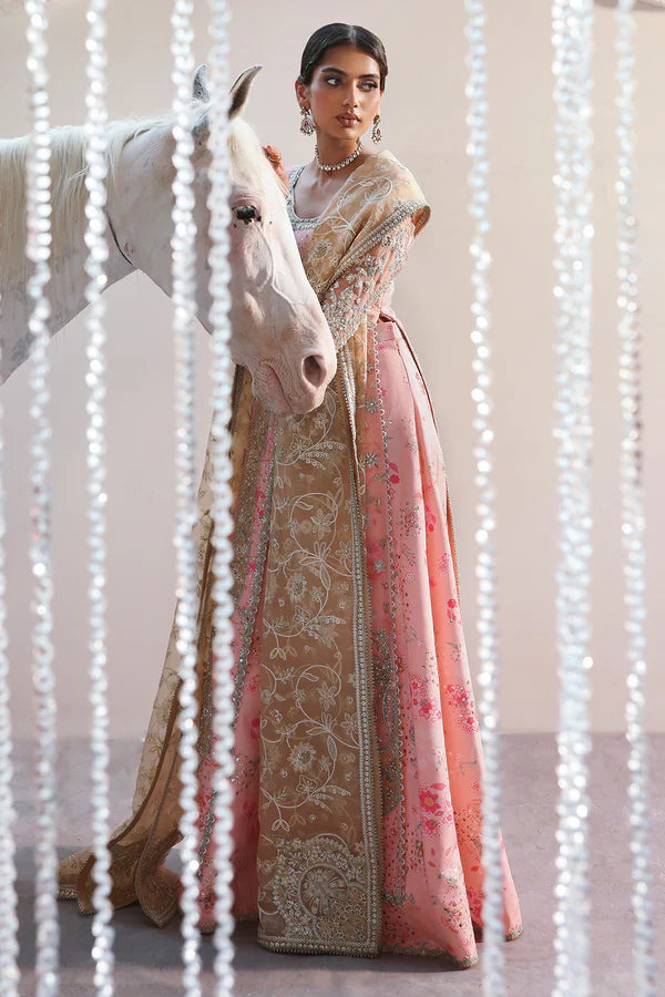 SORAYA | FESTIVE | Velora