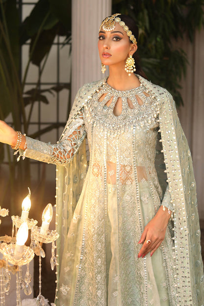 Raeesa | Festive | WD-2