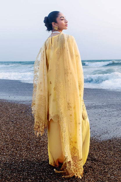 Afsanah | Lost in Waves | A-208