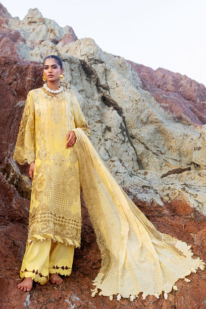 Afsanah | Lost in Waves | A-208