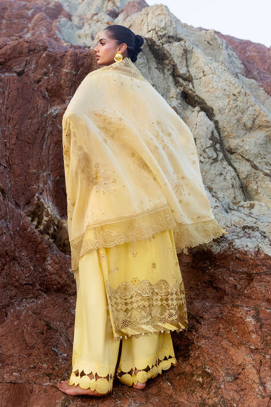 Afsanah | Lost in Waves | A-208