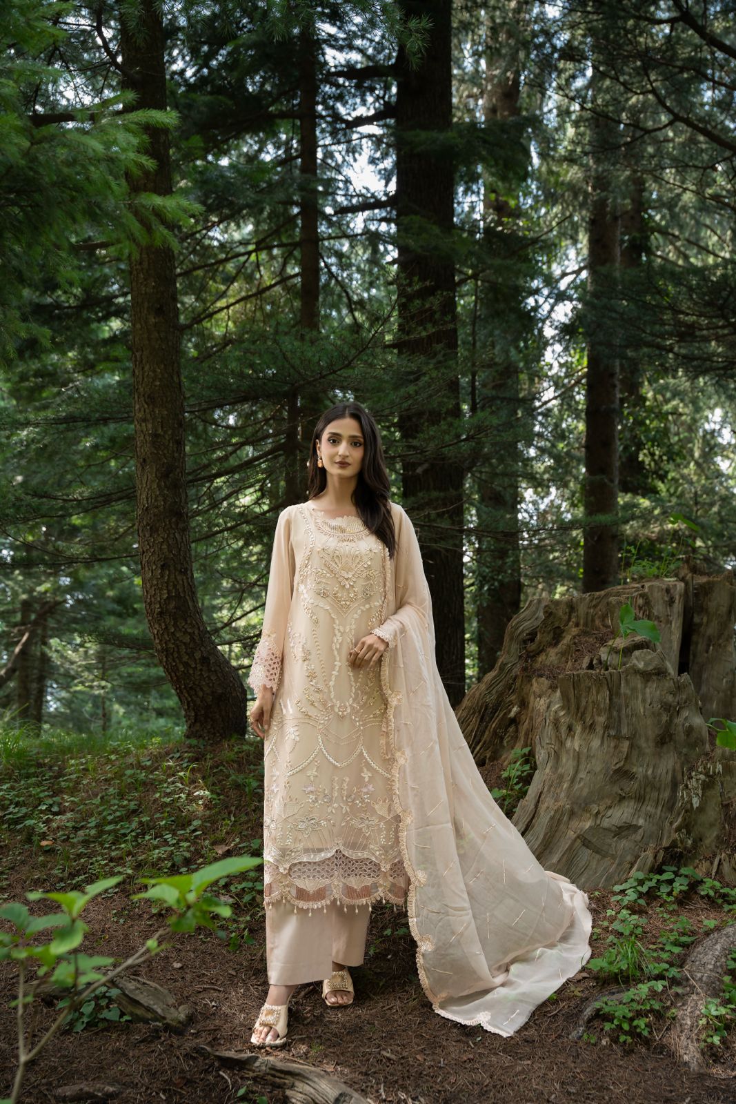 Zebtan | Aura Embroidered Weightless Chiffon | AR-2
