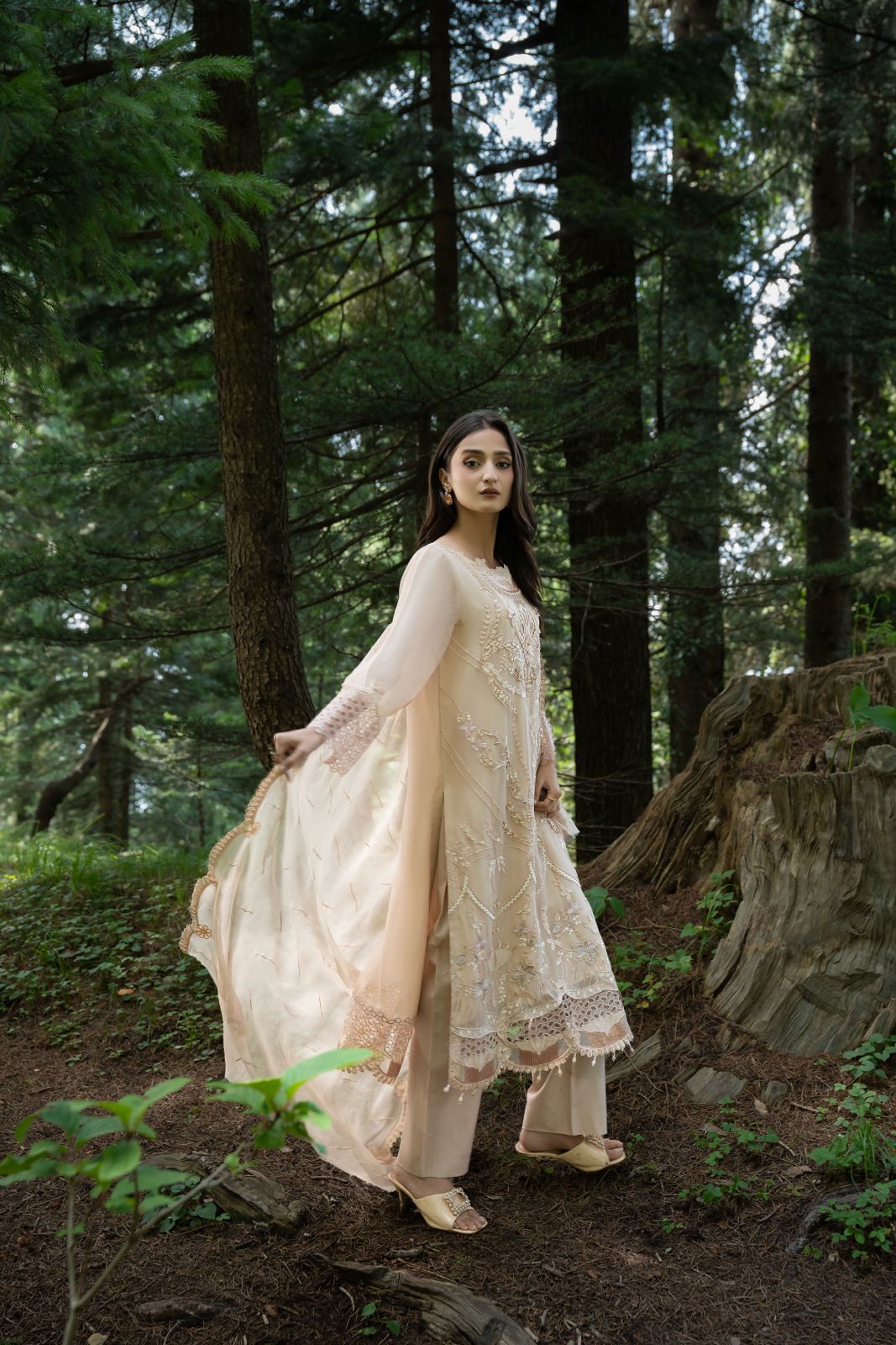 Zebtan | Aura Embroidered Weightless Chiffon | AR-2