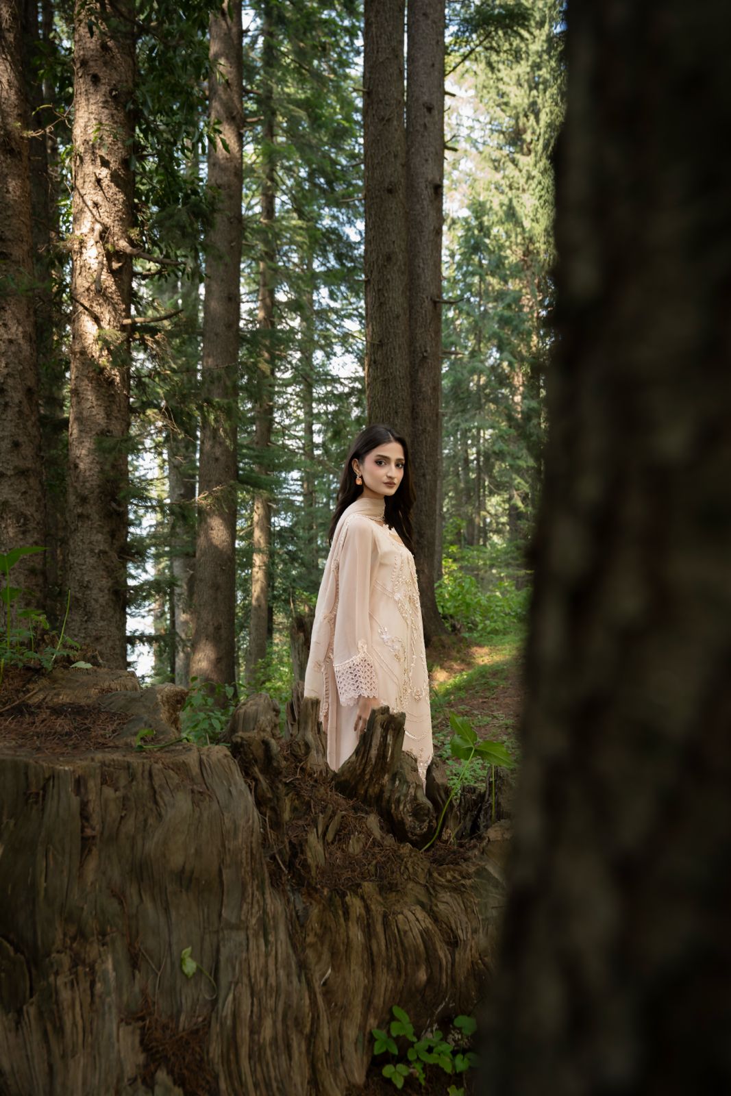 Zebtan | Aura Embroidered Weightless Chiffon | AR-2