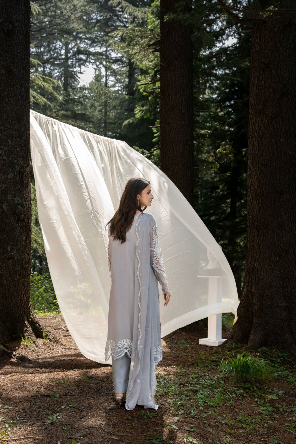Zebtan | Aura Embroidered Weightless Chiffon | AR-3