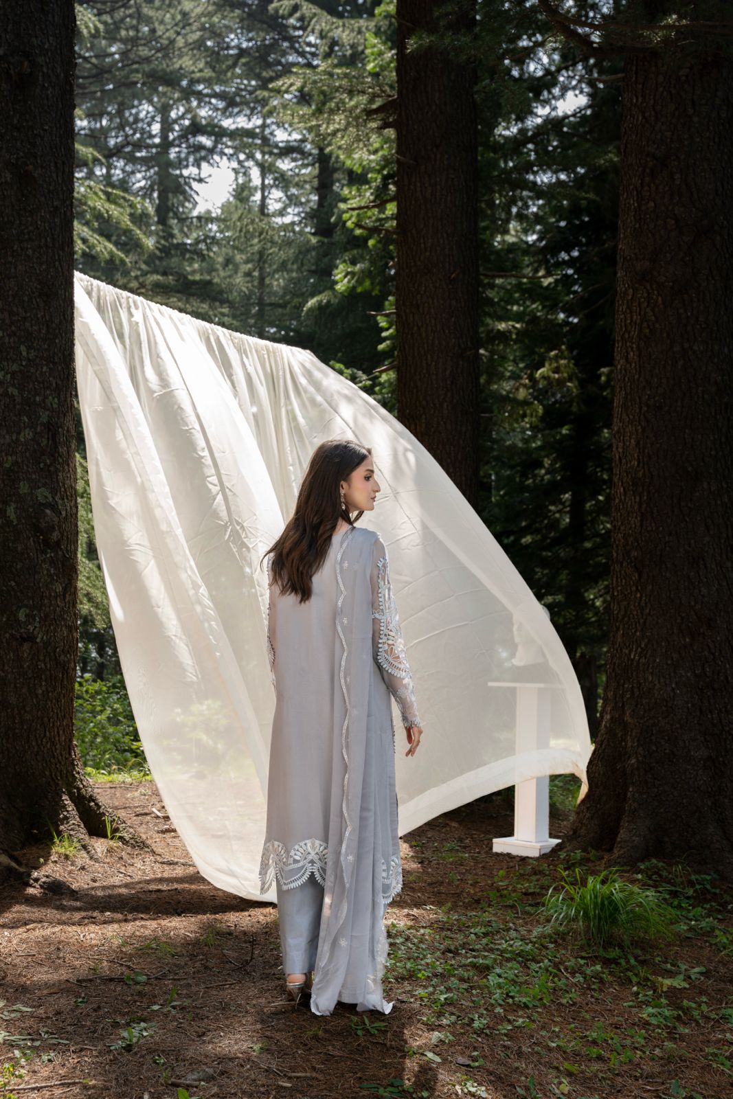 Zebtan | Aura Embroidered Weightless Chiffon | AR-3