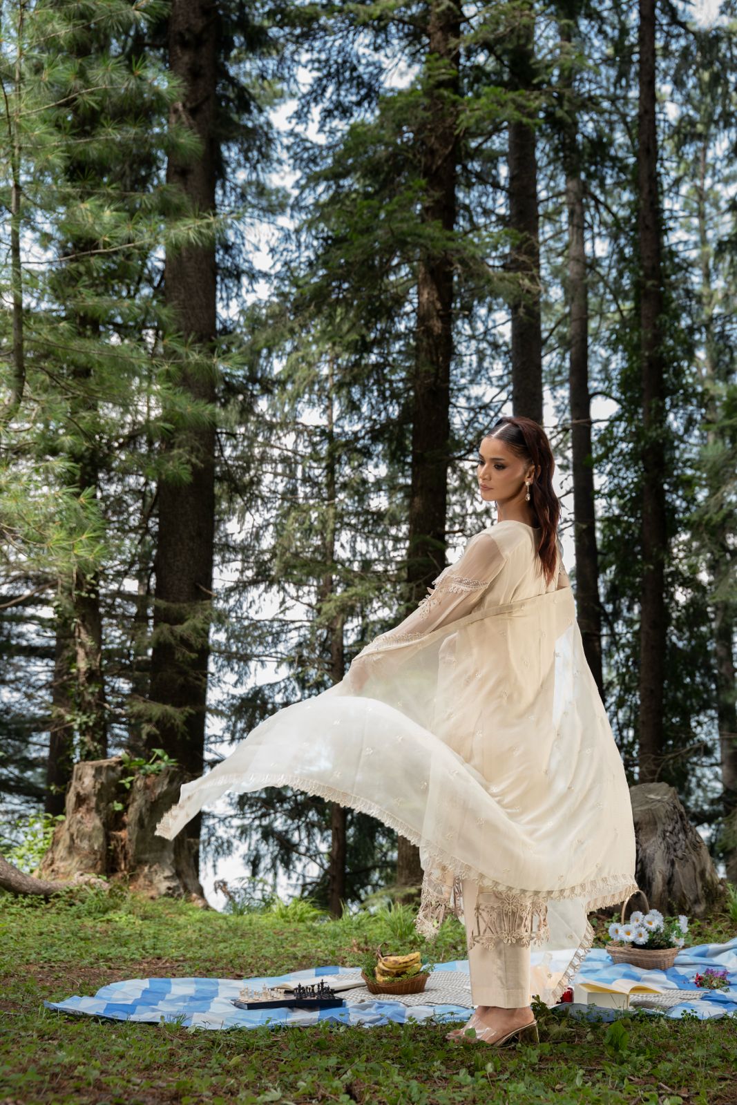 Zebtan | Aura Embroidered Weightless Chiffon | AR-4