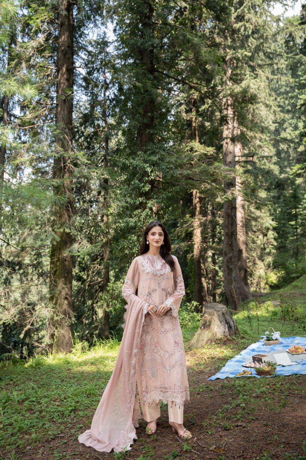 Zebtan | Aura Embroidered Weightless Chiffon | AR-5
