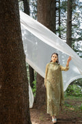 Zebtan | Aura Embroidered Weightless Chiffon | AR-6